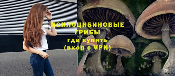 прущие грибы Алексин