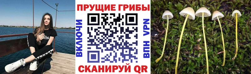 Галлюциногенные грибы GOLDEN TEACHER  Петухово 
